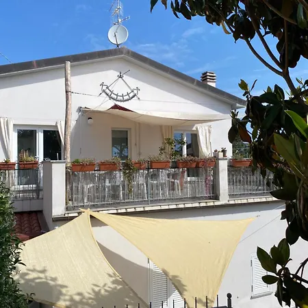 Dama Marina di Campo
